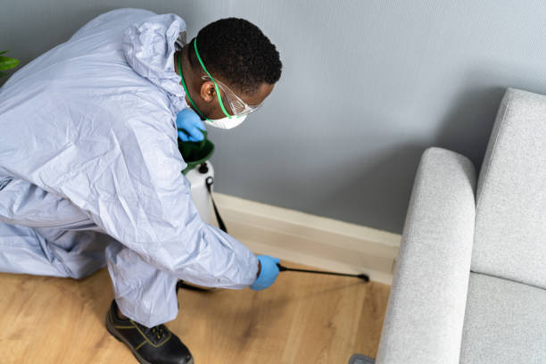 Best Bed Bug Extermination  in Hillsbo, OR